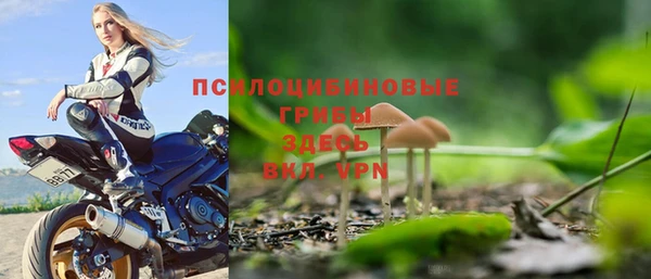 PSILOCYBIN Володарск