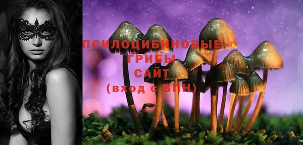 гашик Волосово